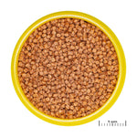 Jbl Pronovo Fantail Grano S 100ml