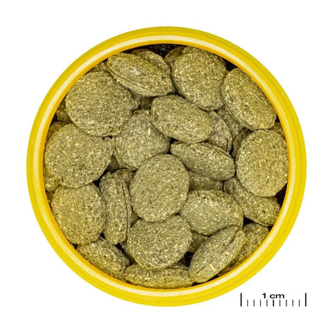 JBL ProNovo Pleco Wafer M (Plecos Food With Natural Wood Fibre) 100ml