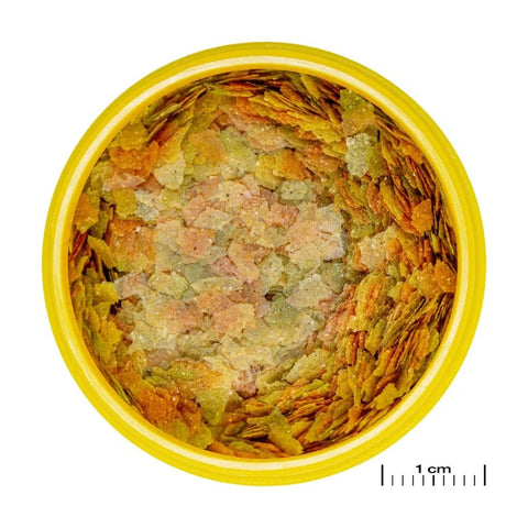 Jbl Pronovo Betta Flakes S 100ml ( suitable for all fishes )