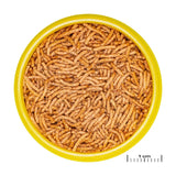 Jbl Pronovo Betta Insect Stick S 100ml