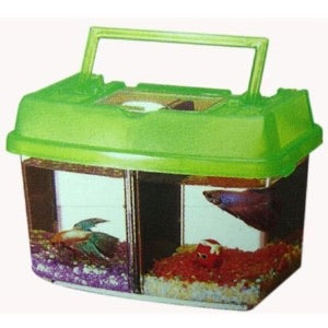 betta fish box Show Betta Box