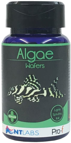 NT Labs Pro-f Algae Wafers 40g